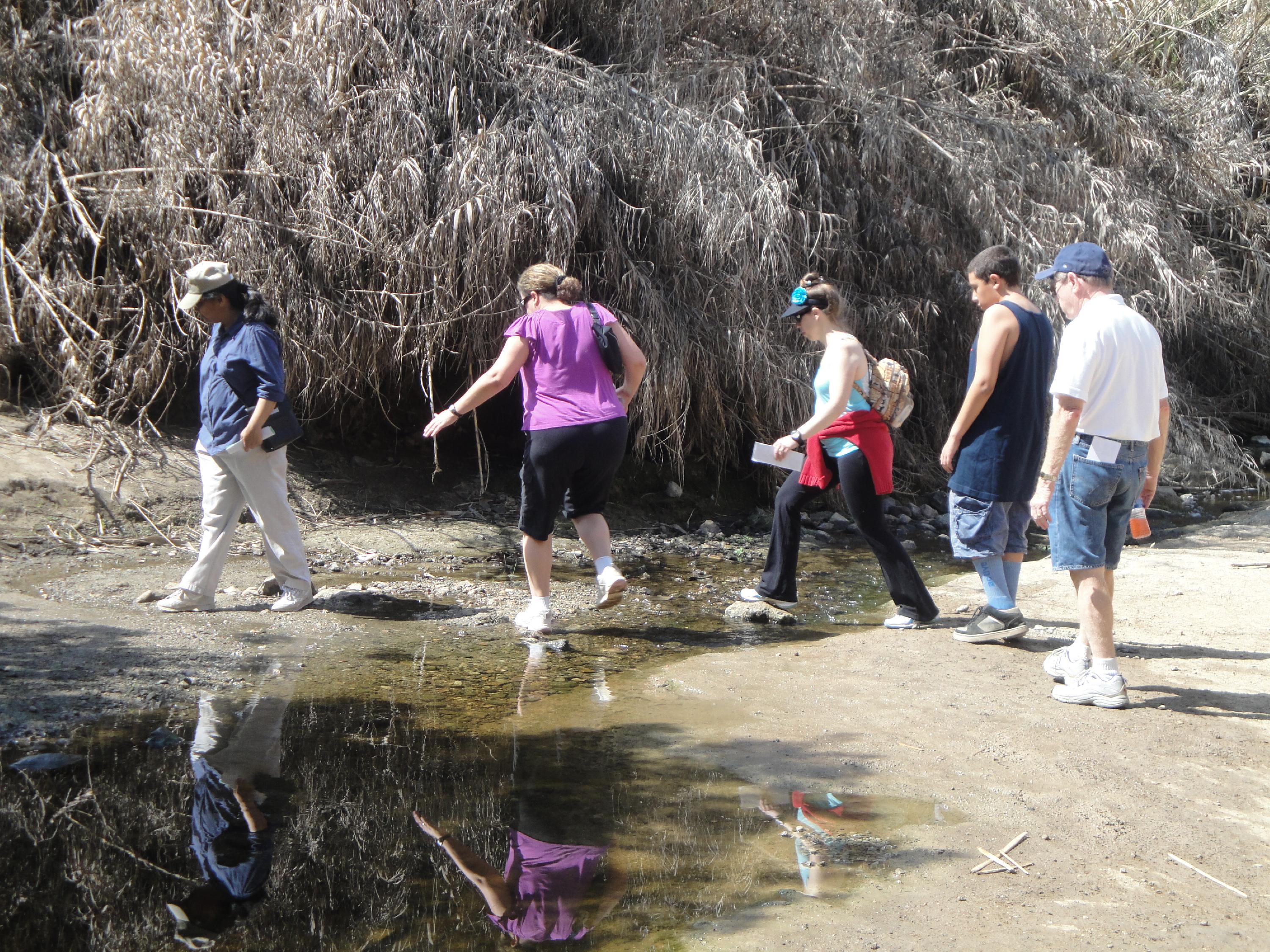 People strolling on a wooded trail